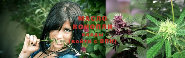 прущие крисы Горняк